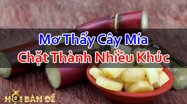 Nam-Mo-Thay-Cay-Mia-Danh-Con-Gi-Mo-Thay-Uong-Nuoc-Mia