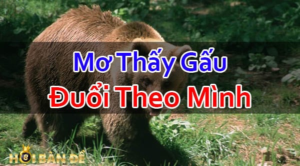 Mo-Thay-Gau-Danh-Con-Gi-Mo-Thay-Gau-Den