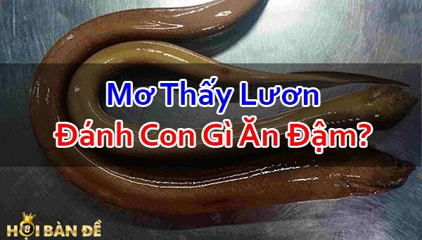 Nam-Mo-Thay-Luon-Danh-Con-Gi-Mo-Thay-Lam-Thit-Luon