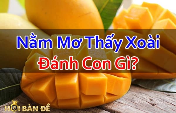 Nam-Mo-Thay-Trai-Xoai-La-Diem-Bao-Gi-Danh-Con-Gi-Trung-Lon