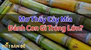 Nam-Mo-Thay-Cay-Mia-Danh-Con-Gi-Mo-Thay-Uong-Nuoc-Mia