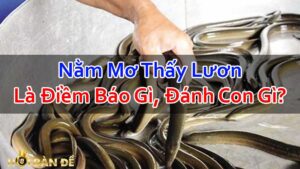 Nam-Mo-Thay-Luon-Danh-Con-Gi-Mo-Thay-Lam-Thit-Luon