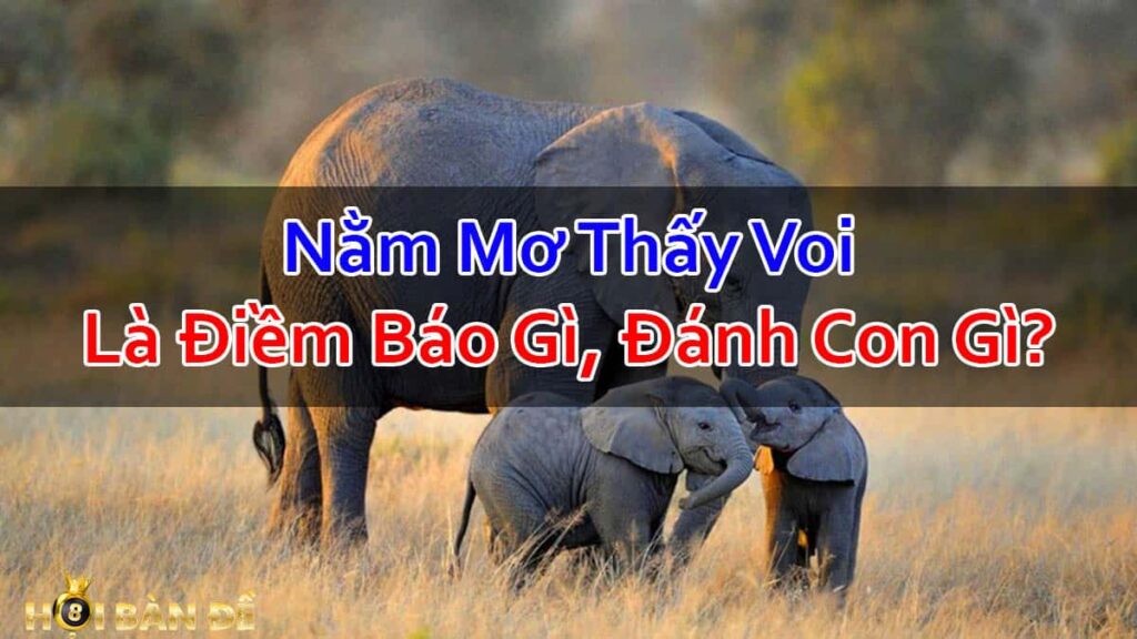 Nam-Mo-Thay-Voi-Mo-Thay-Tuong-Voi-Danh-Con-Gi
