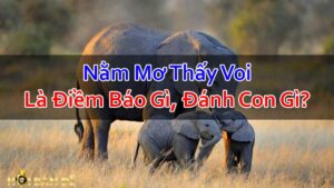 Nam-Mo-Thay-Voi-Mo-Thay-Tuong-Voi-Danh-Con-Gi
