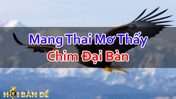Nam-Mo-Thay-Chim-Dai-Bang-Danh-Con-Gi-Chac-Trung