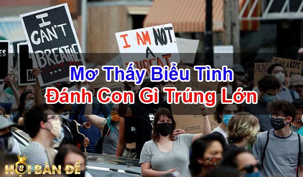 Mo-Thay-Bieu-Tinh-Cuoc-Bieu-Tinh-Tranh-Chap-Danh-So-May