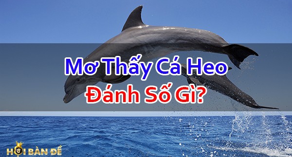 Nam-Mo-Thay-Ca-Heo-Danh-So-May-Trung-Lon