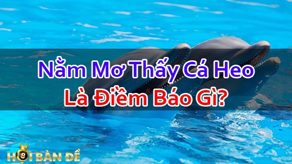 Nam-Mo-Thay-Ca-Heo-Danh-So-May-Trung-Lon