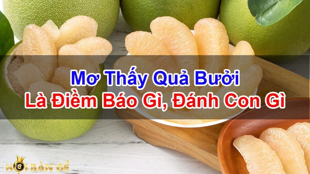 Nam-Mo-Thay-Qua-Buoi-Danh-Con-Gi-Diem-Bao-Tot-Hay-Xau