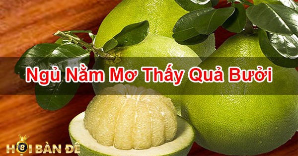 Nam-Mo-Thay-Qua-Buoi-Danh-Con-Gi-Diem-Bao-Tot-Hay-Xau